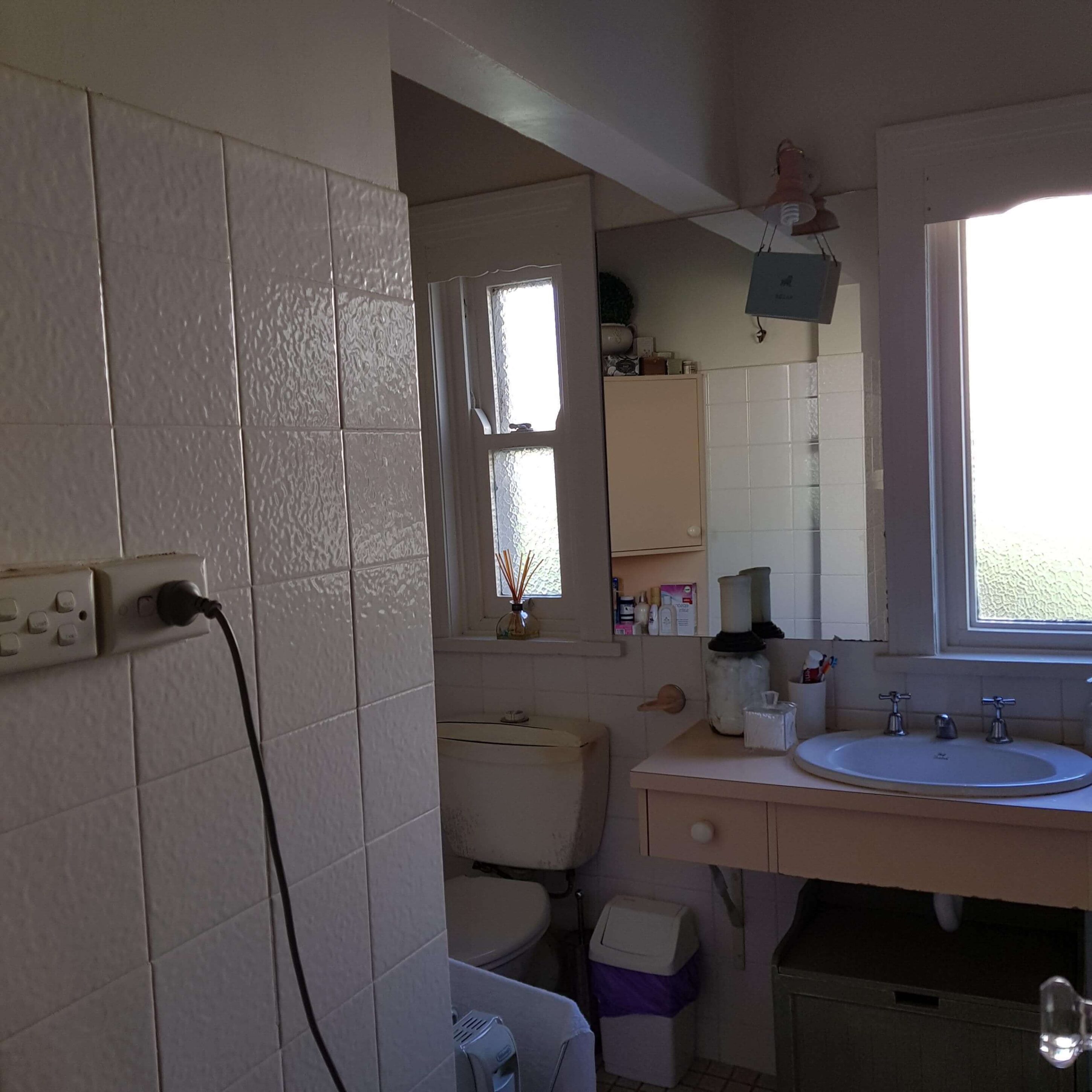 Nadine's Bathroom Reno: Before | Journey Home | Blog